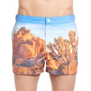 [ Original Penguin] Mens Swimming Trunks- Size 31